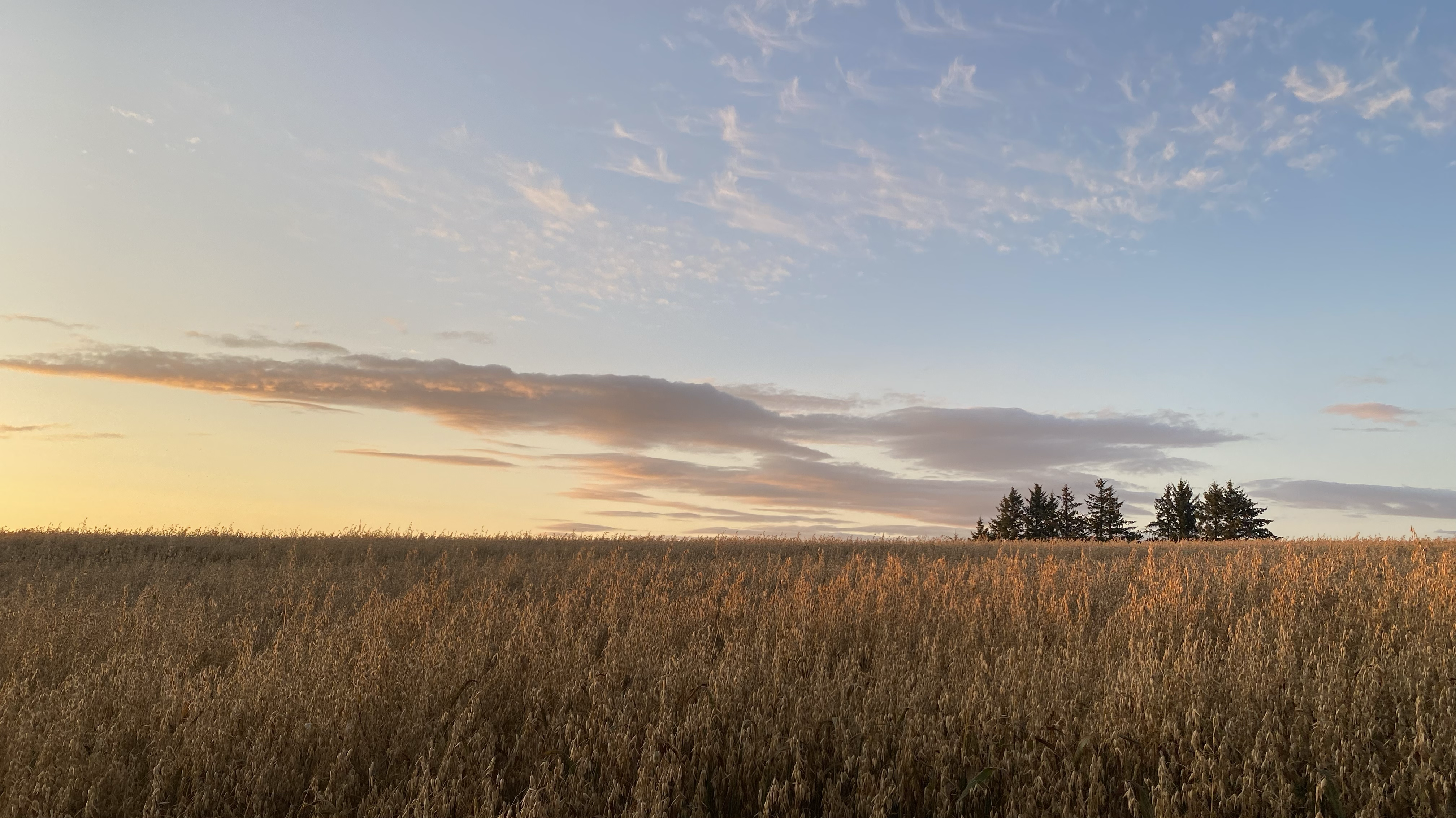 Nordic Thread Om Oss